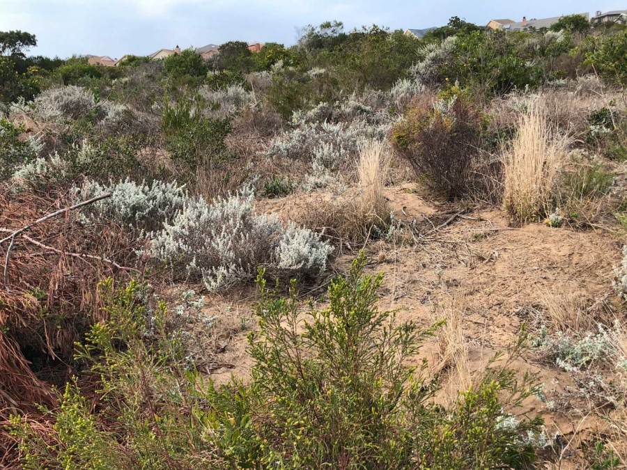 0 Bedroom Property for Sale in Reebok Western Cape